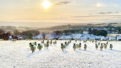 Snow Dartmoor weather april 2021