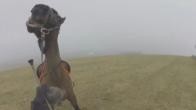 ITV Meridian Woodingdean news for Oxford, Thames Valley and South Coast