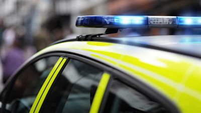 Police car siren