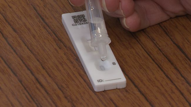  lateral flow testing in schools