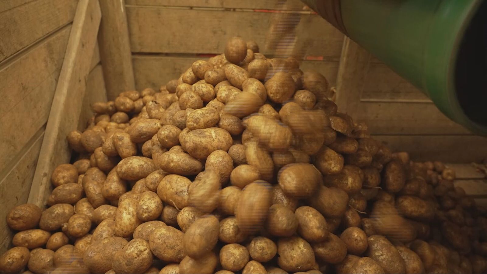 Glens of Antrim Potatoes Collapses Into Administration, Leaving 95 Workers Redundant and Farmers Without a Buyer