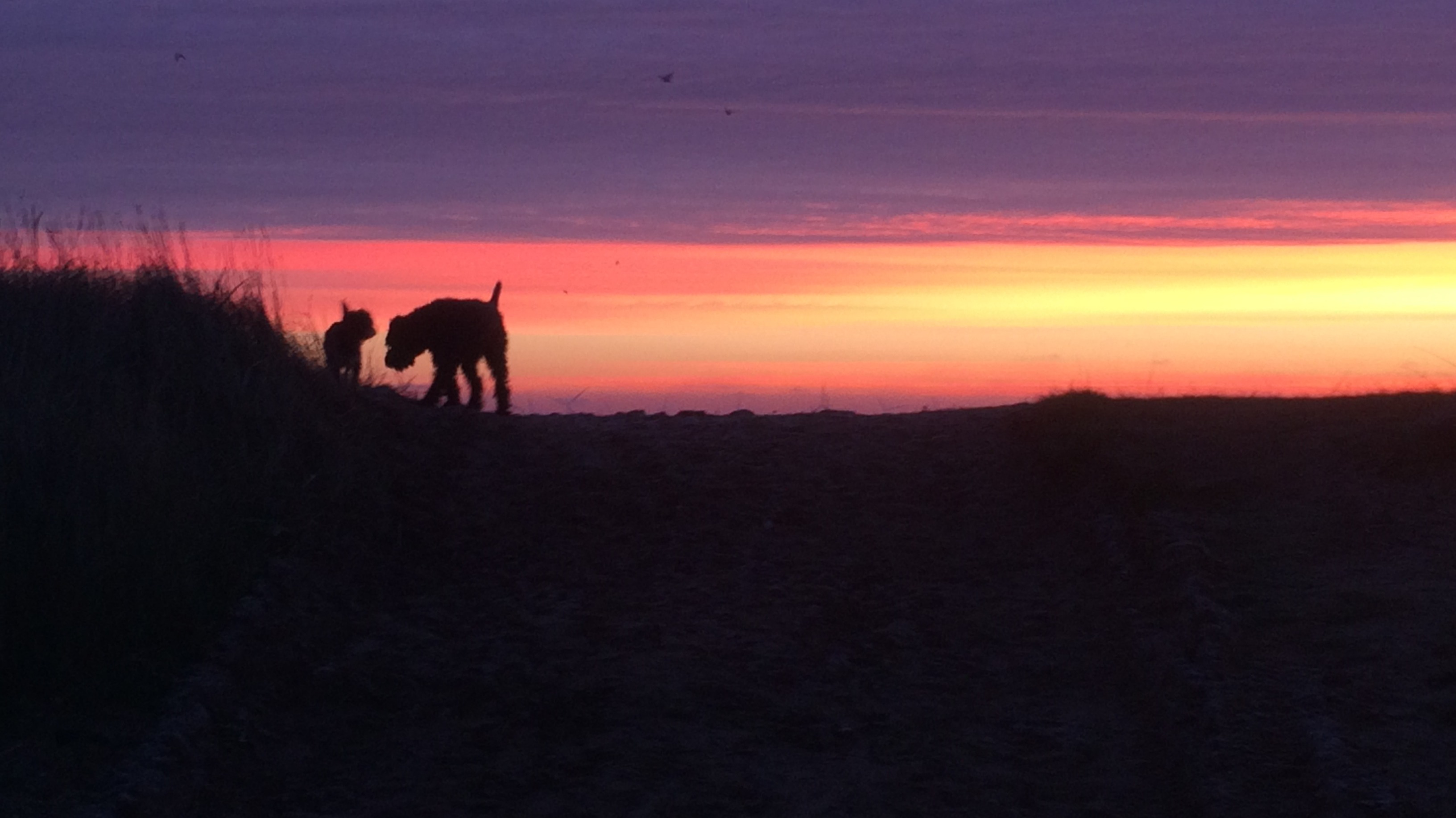 East Midlands New Years Day Weather ITV News Central
