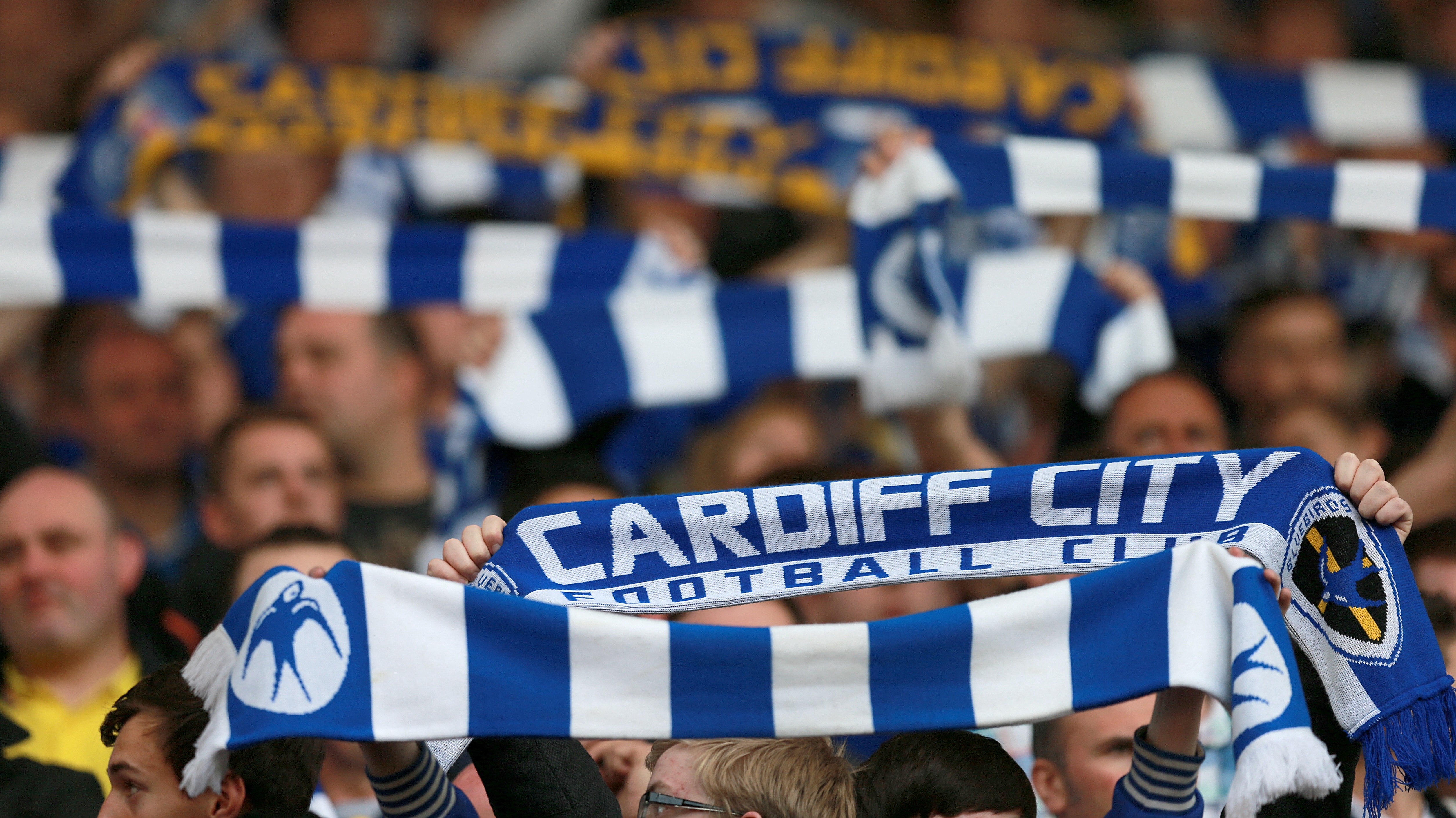 Cardiff City Fc Fans