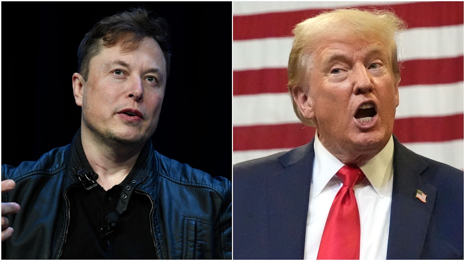 The Trump-Musk conversation: First a tech meltdown, then a bromance with  some bizarre claims | ITV News