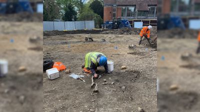 Archaeological dig