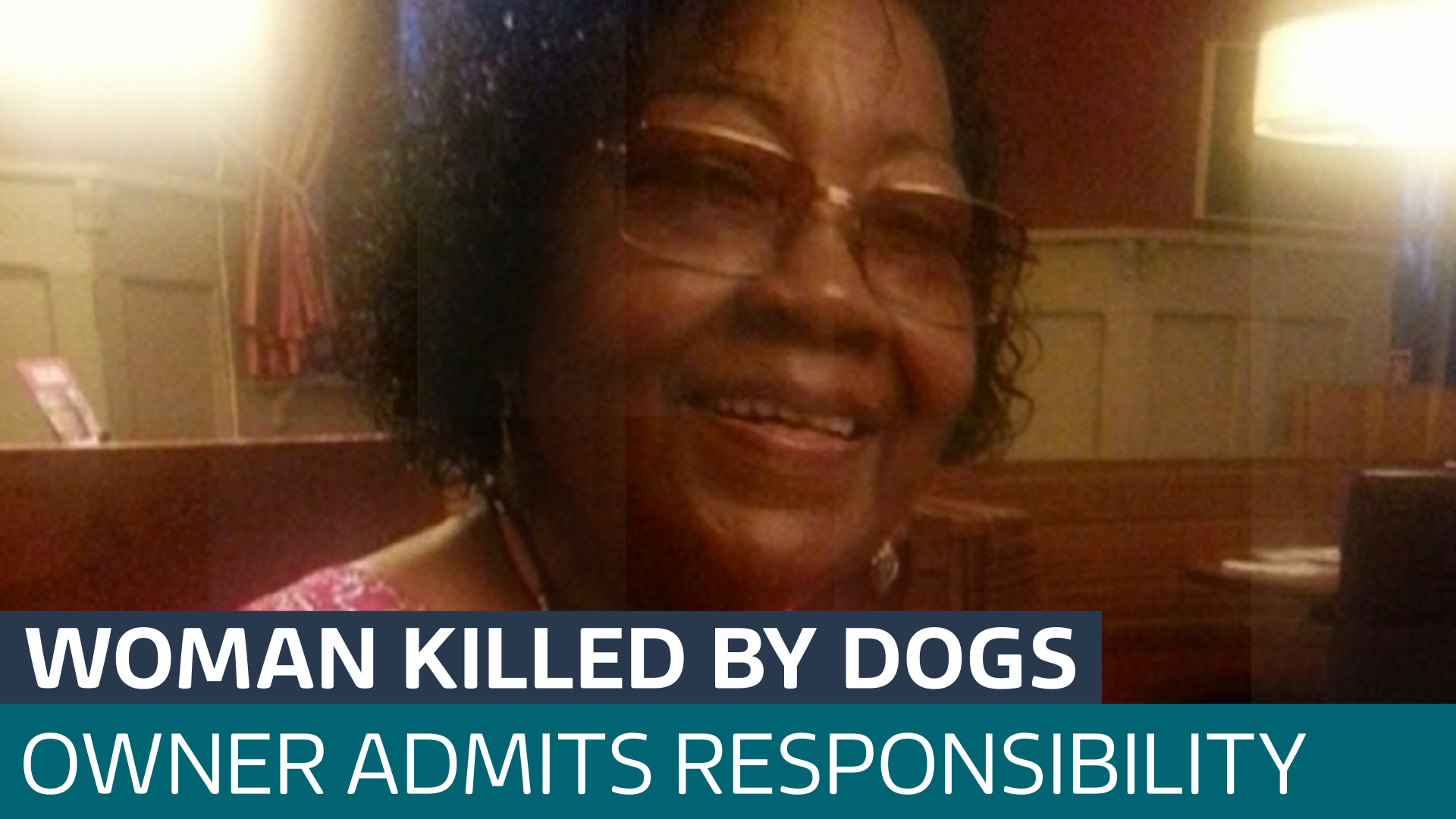 Pet owner pleads guilty after great-grandmother killed in fatal dog ...