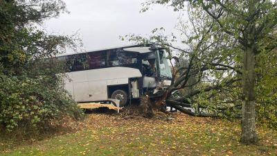 Scene of bus crash in Colchester.
Credit: ITV News Anglia
