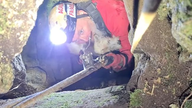 A cave diver from Carbis Bay Crew brings up Suka the terrier