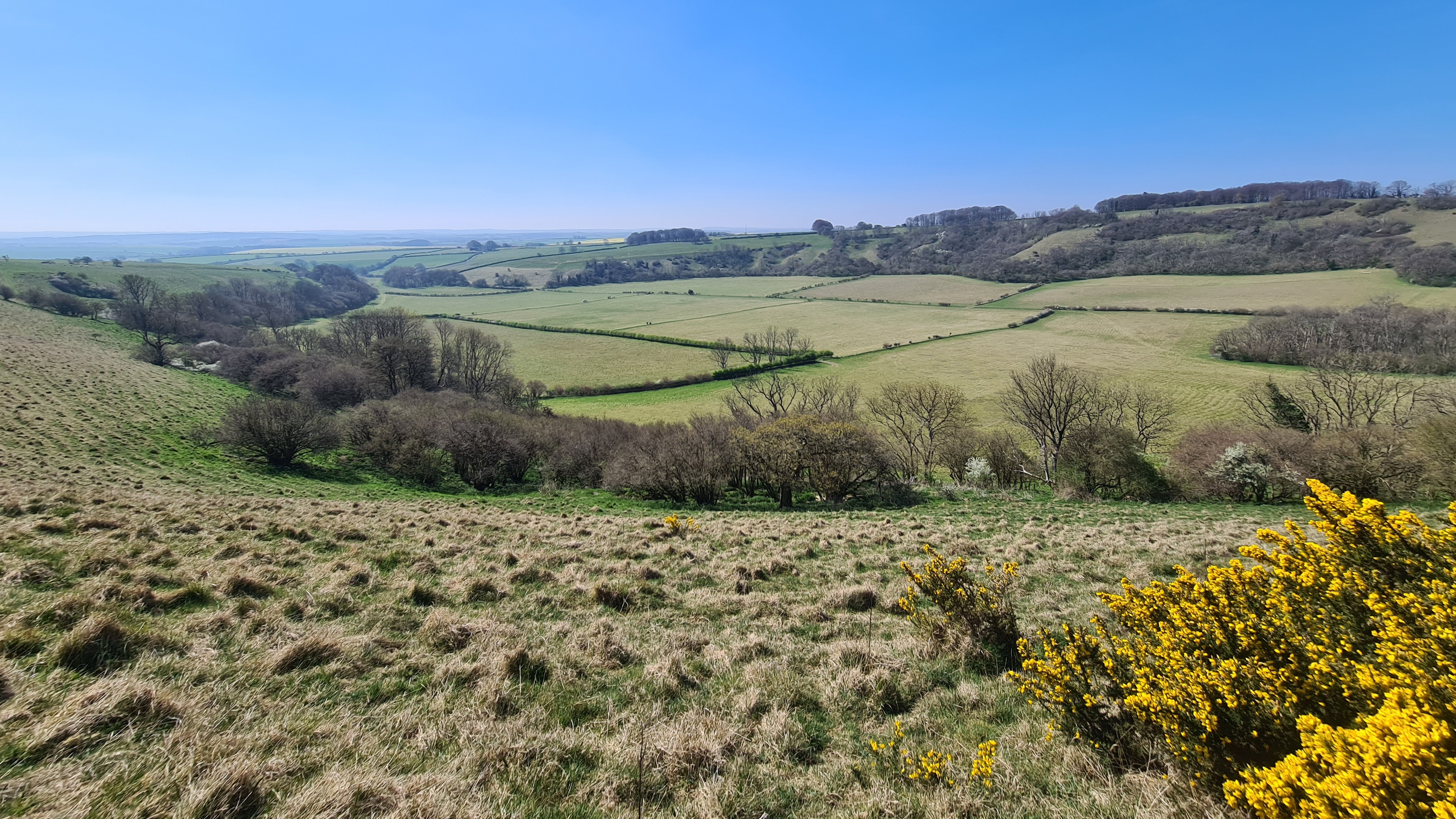 Landscape which inspired Thomas Hardy named national nature reserve