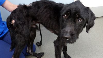 WS210522 FINLEY HERO