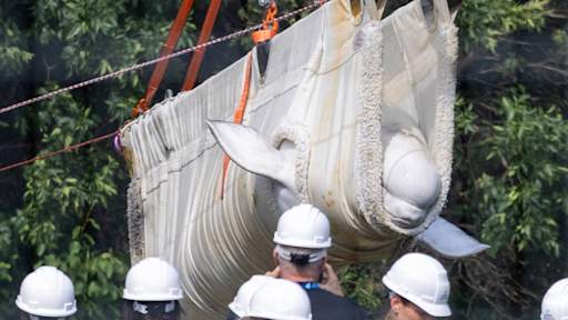 Beluga whales rescued after being trapped in closed down Canadian theme park