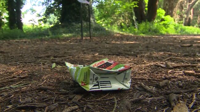 Litter dropped in a Peterborough woodland
