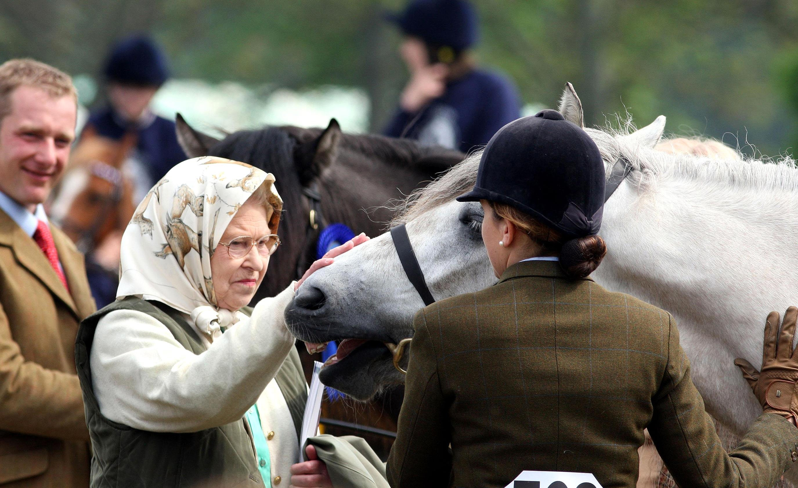 King Charles III Sells Off 14 Of The Late Queen's Beloved Royal Stud ...