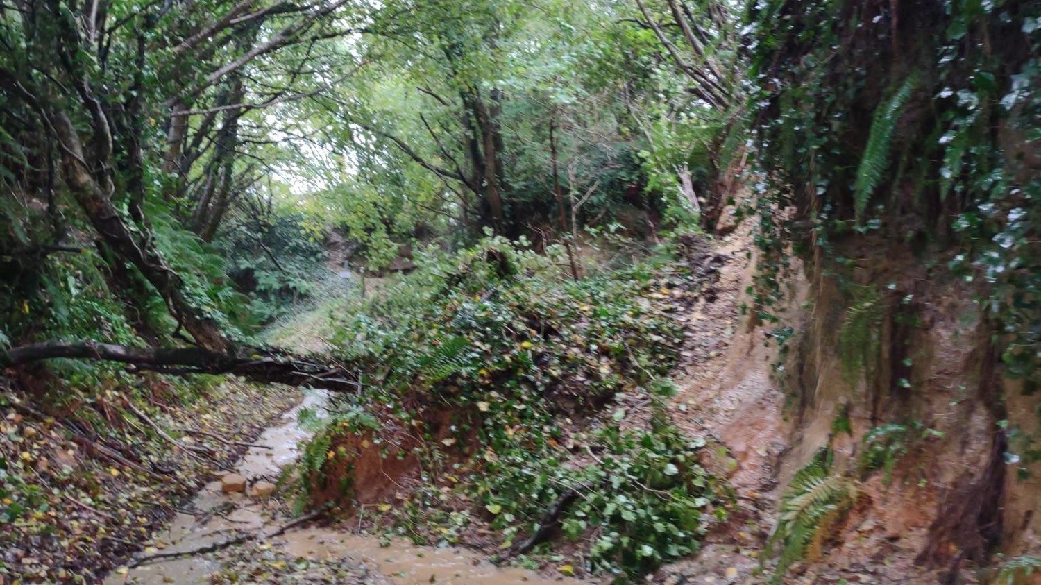 Storm Ciar n Somerset roads closed by fallen trees and landslips