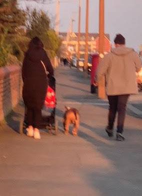 Man spotted kicking dog in head on Lytham St Anne's seafront ITV News