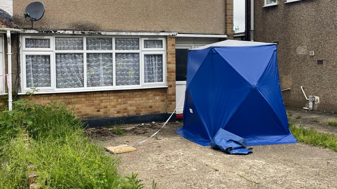 Woman killed in XL bully dog attack at home in east London | ITV News
