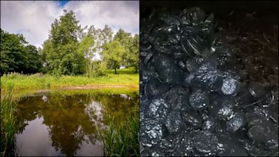 Daisy Nook Country Park in Failsworth - Bomb and lake