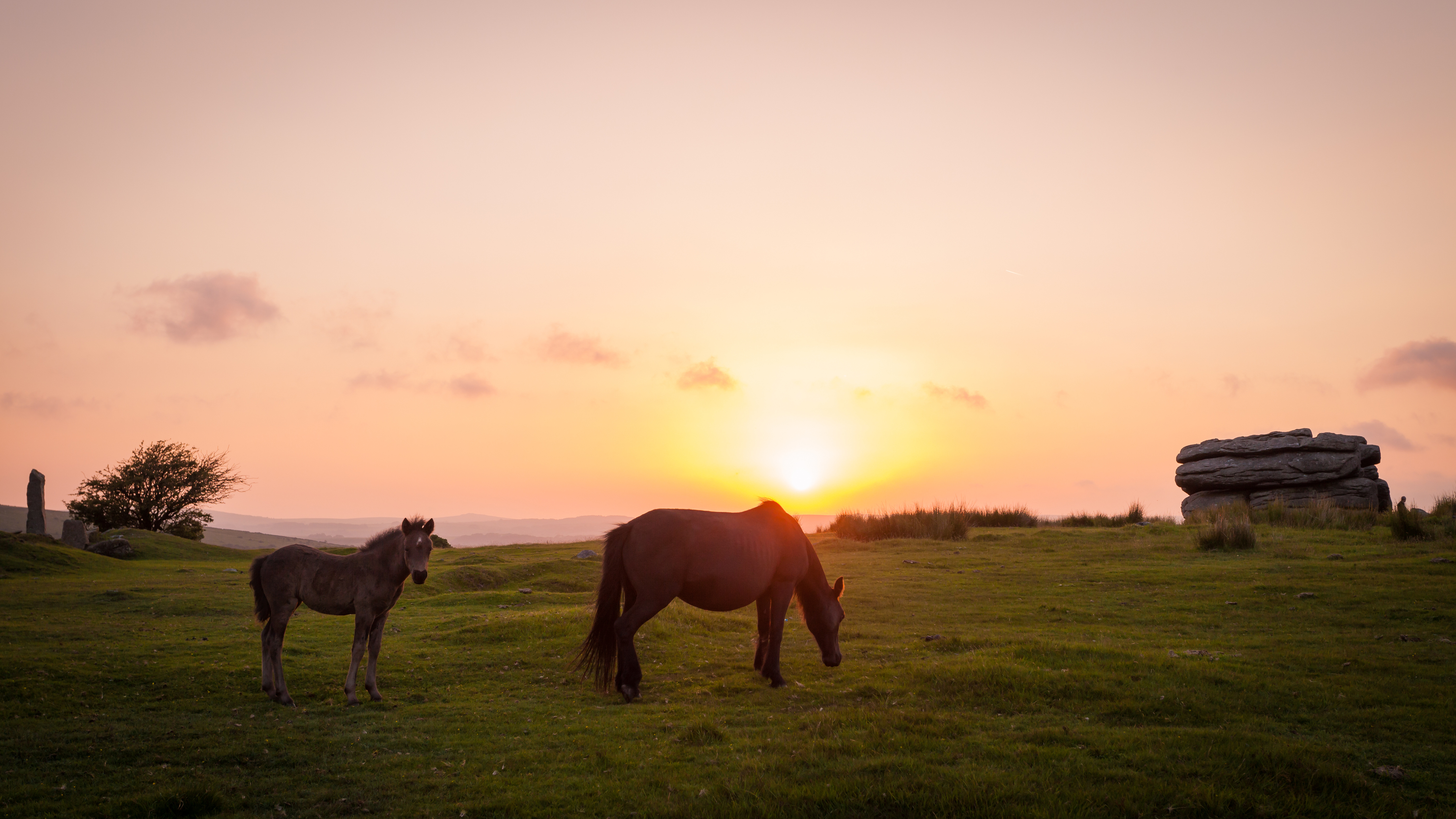 Haboobs and 'blood rain': Britain’s skies to ignite with intense, fiery sunsets