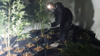 1200 cannabis plants were seized from the disused social club in Darnall
