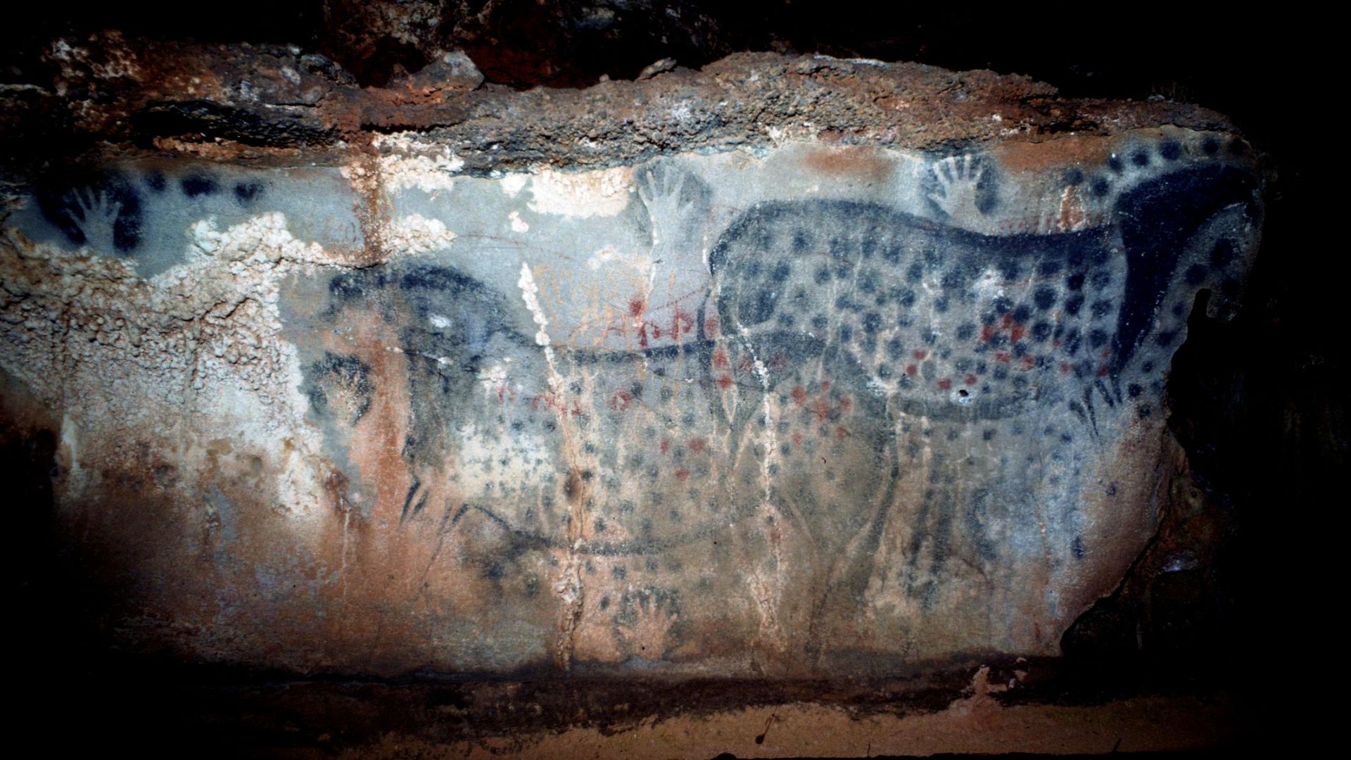 Amateur archaeologist helps crack Ice Age cave art code | ITV News Tyne Tees