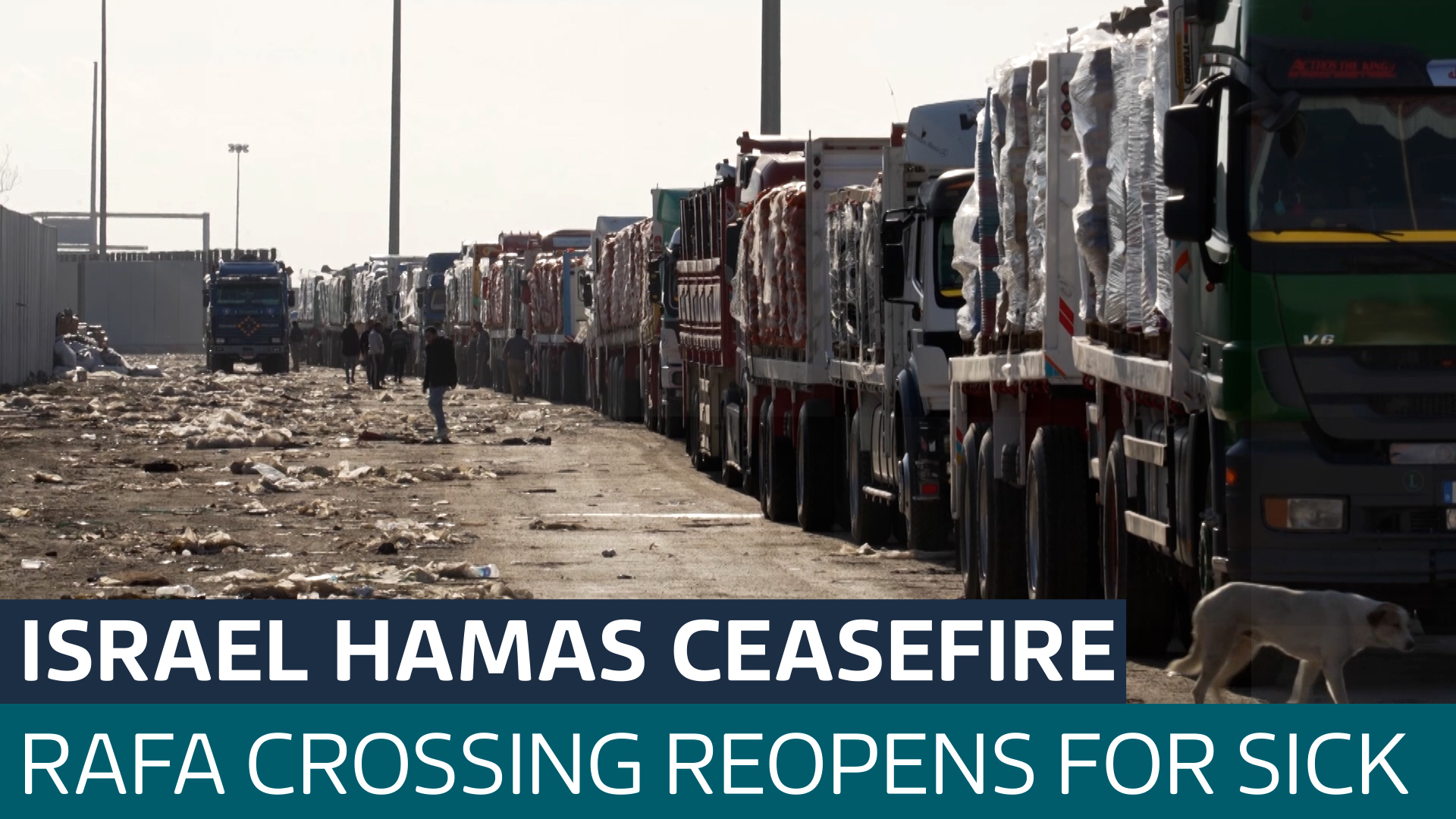 'We have been waiting for months': Medical help makes its way to Gaza ...