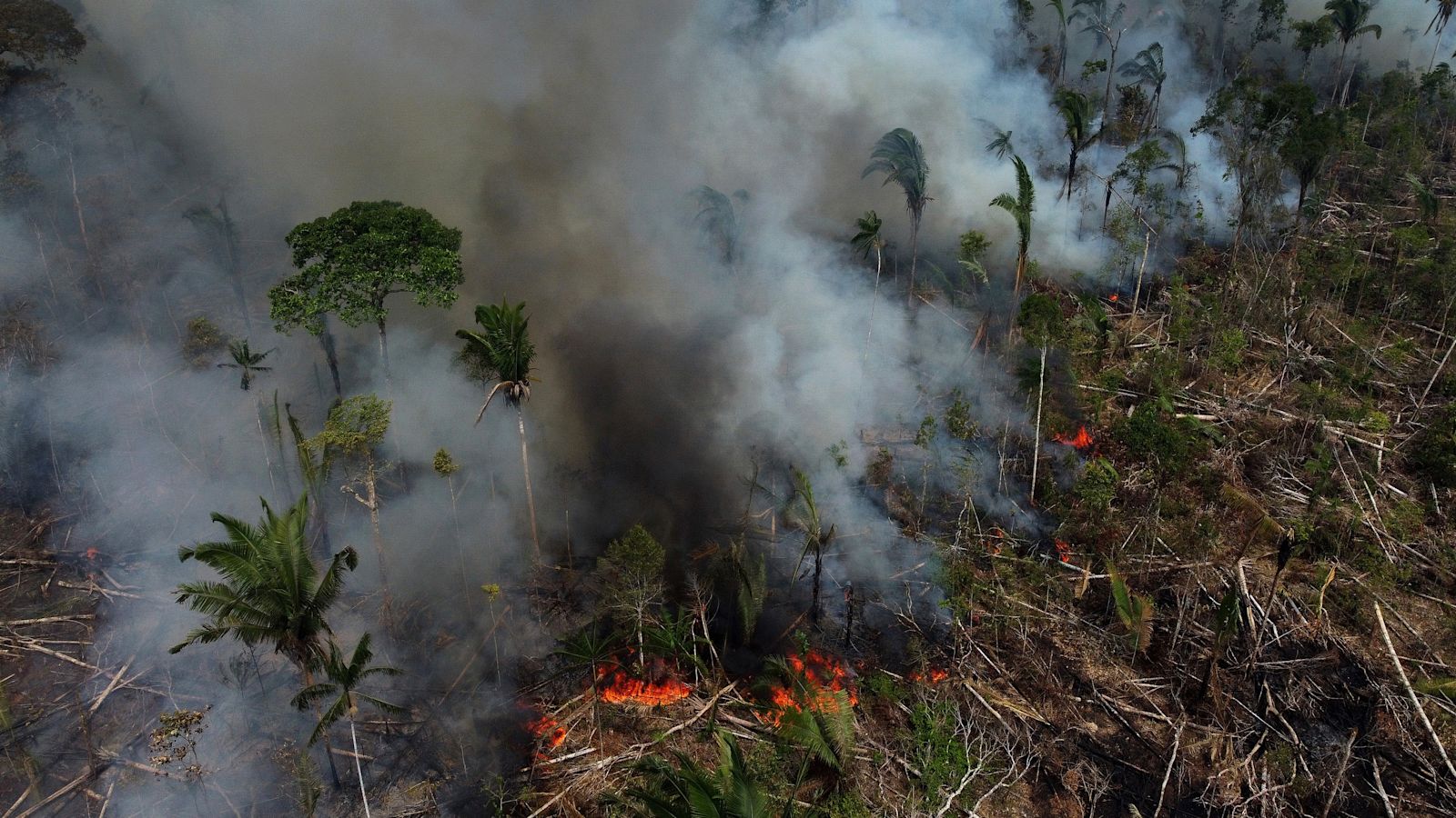 El Niño returns, raising fears of more extreme weather and higher food ...