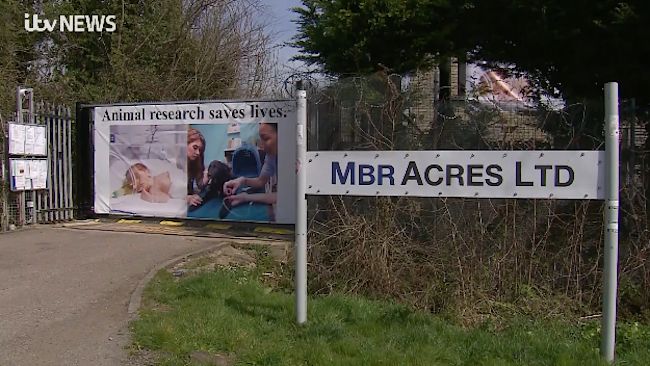 MBR Acres in Huntingdon, Cambridgeshire