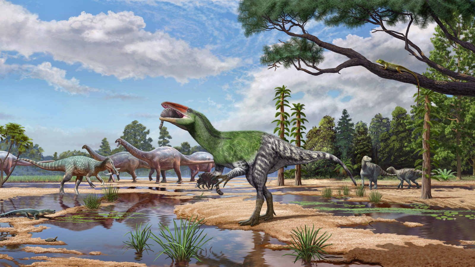 New species of dinosaur discovered from fossil found on Isle of Wight
