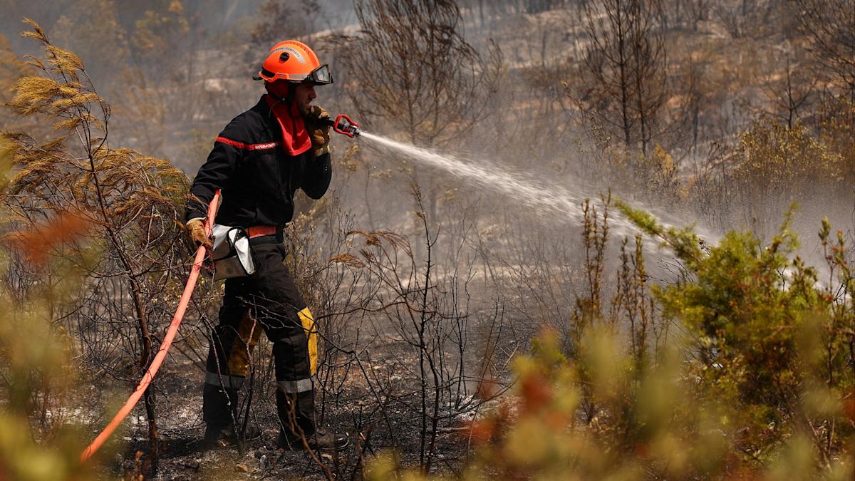 Spain temperatures to surpass 44C as wildfires burn across Europe