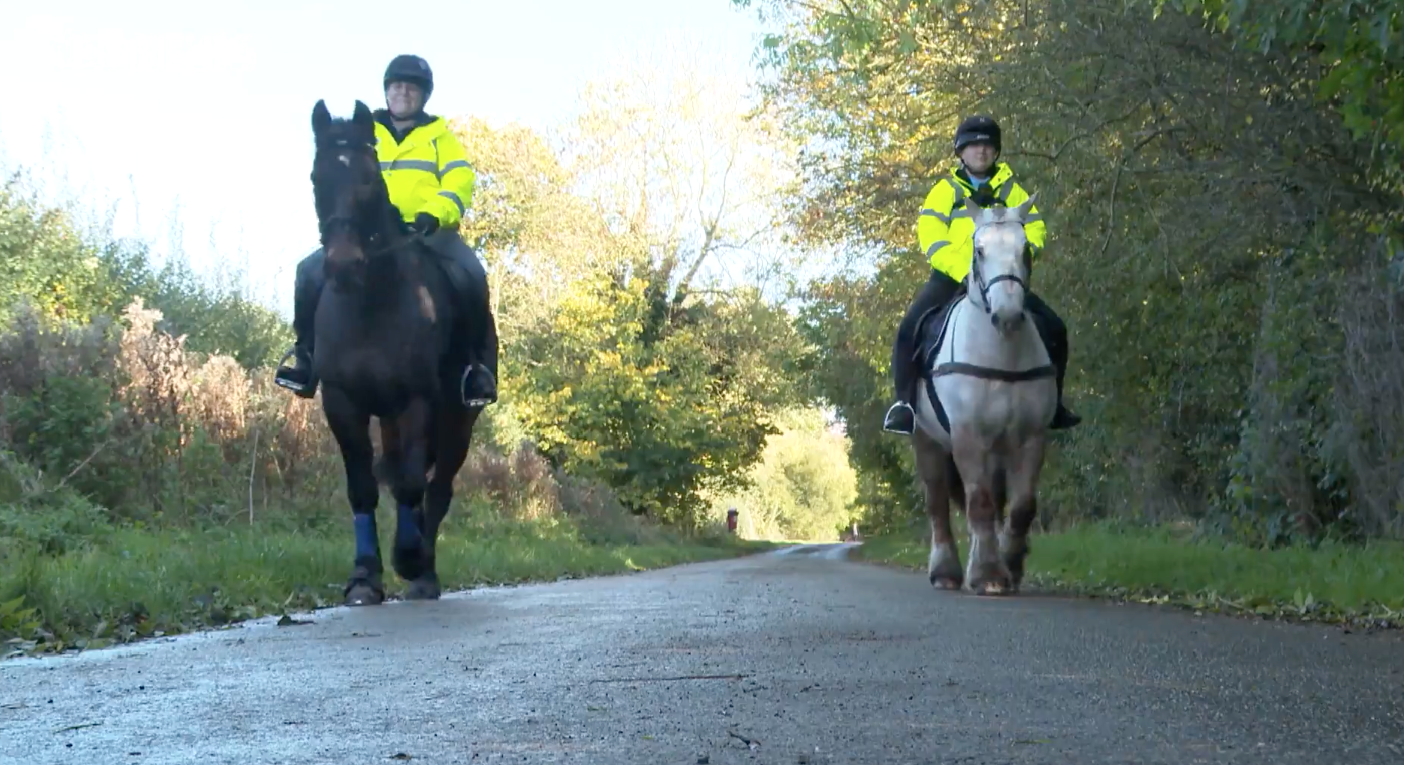 The horse riders enlisted by police to be 'eyes and ears' of the ...