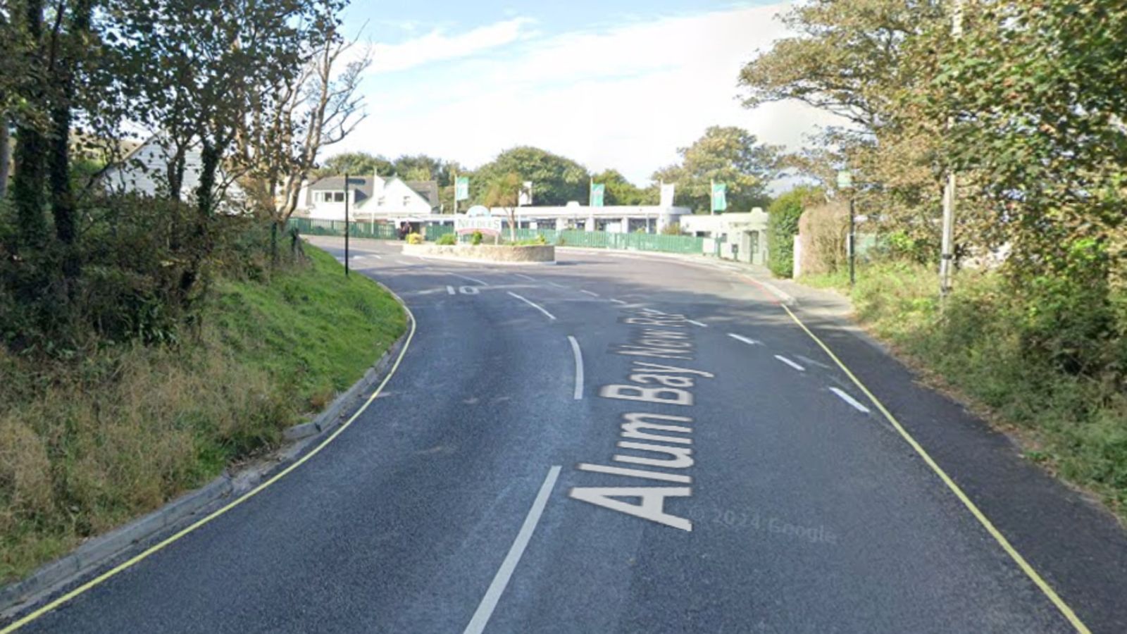 Man, woman and two dogs die after car goes over Isle of Wight cliff ...