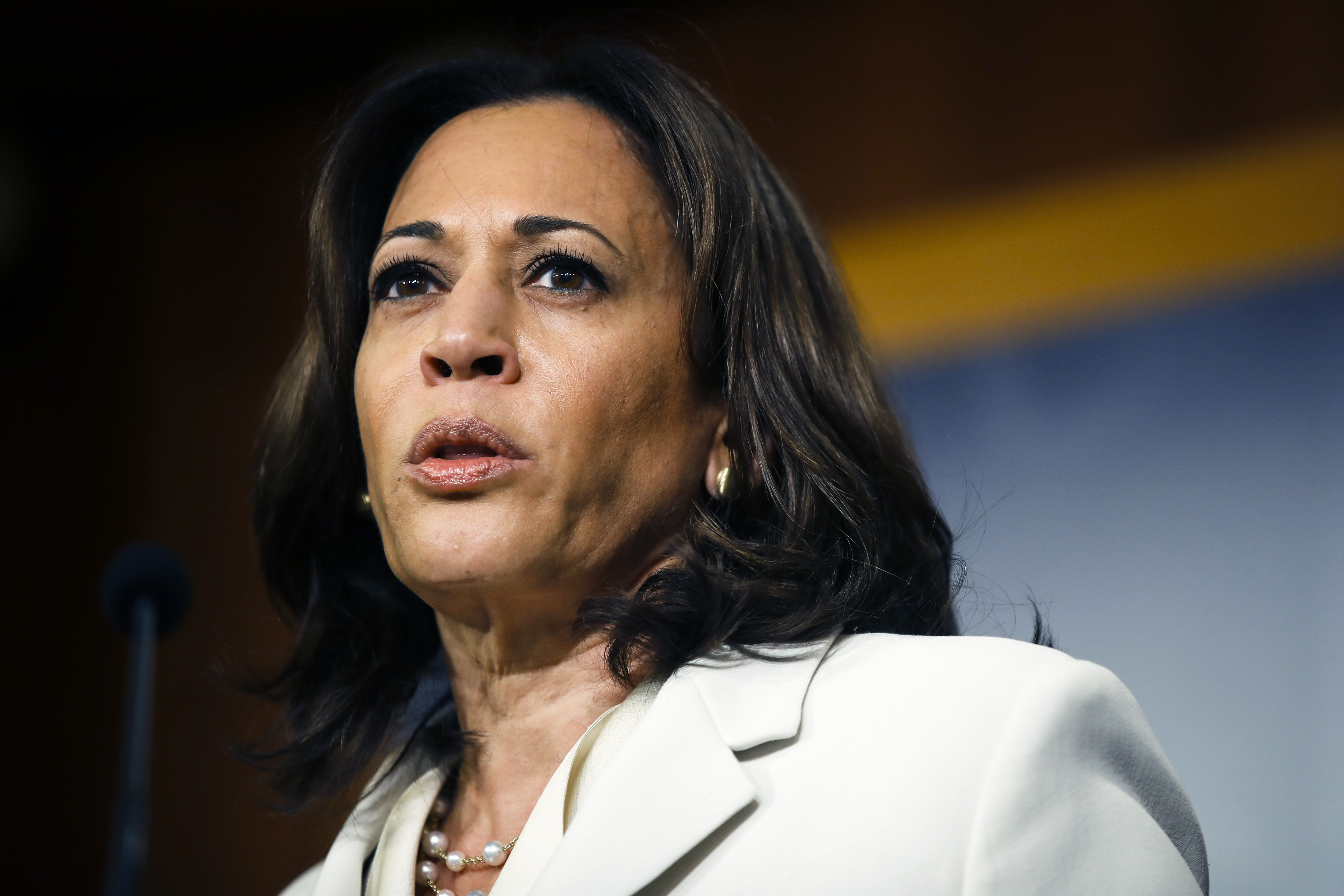 Kamala Harris: More pragmatist than revolutionary, but still a historic ...