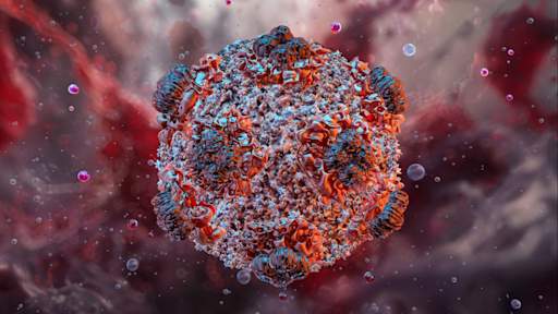 What is hantavirus, the illness suspected to have killed three on a cruise ship?