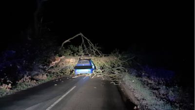 Amazingly, the driver escaped with no injuries.