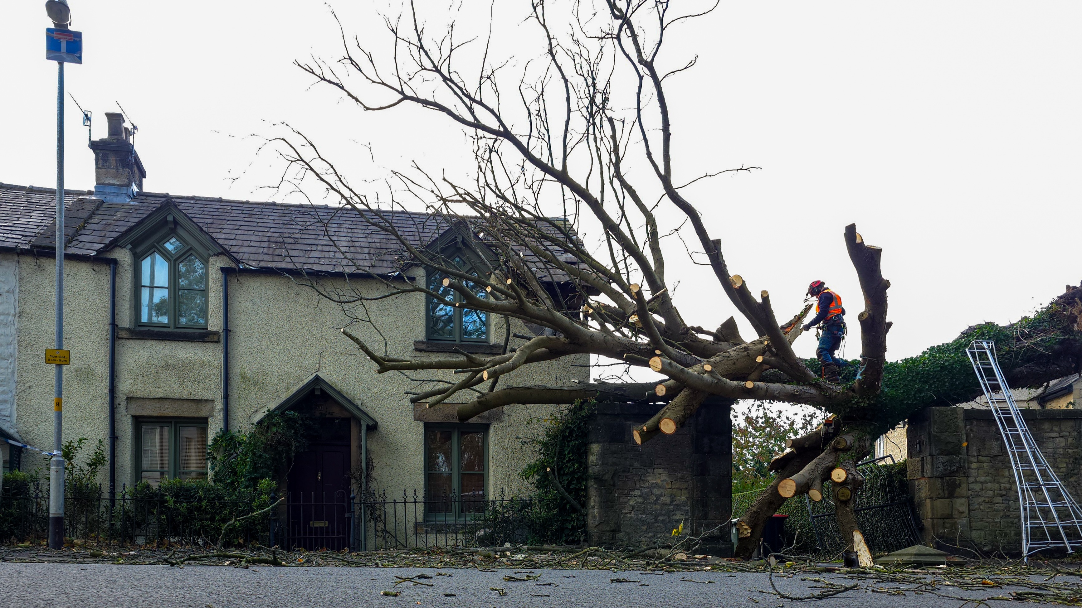 Homes without power and trees felled in high winds as Storm Boelo hits ...