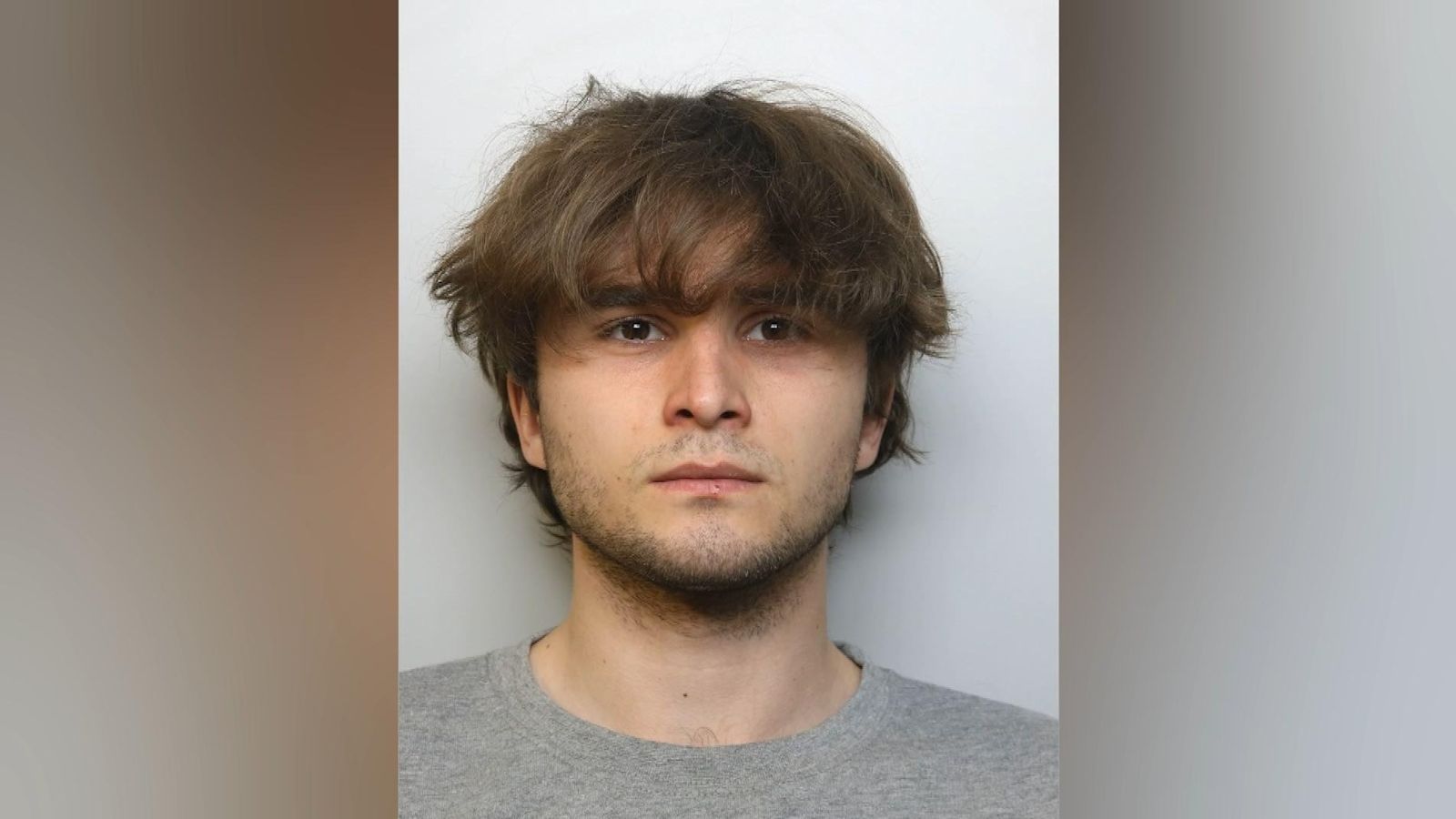 Aquitance Defense Script Student admits murdering his friend and housemate in 'cold-blooded ...