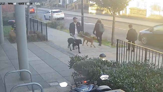 CCTV IMAGES OF MAN WALKING DOG
