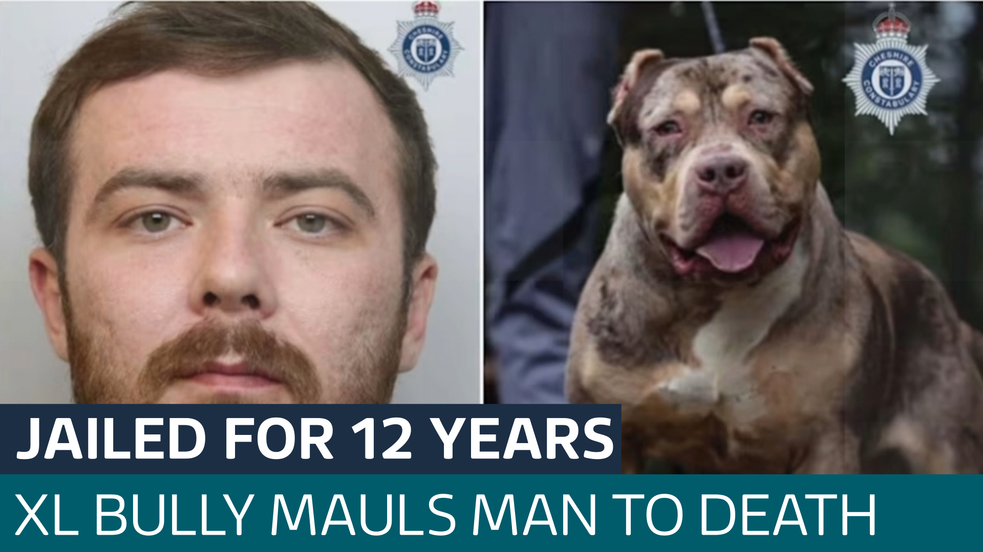 Owner of XL bully which mauled 84-year-old pensioner sentenced to 12 years in jail - Latest From ITV News