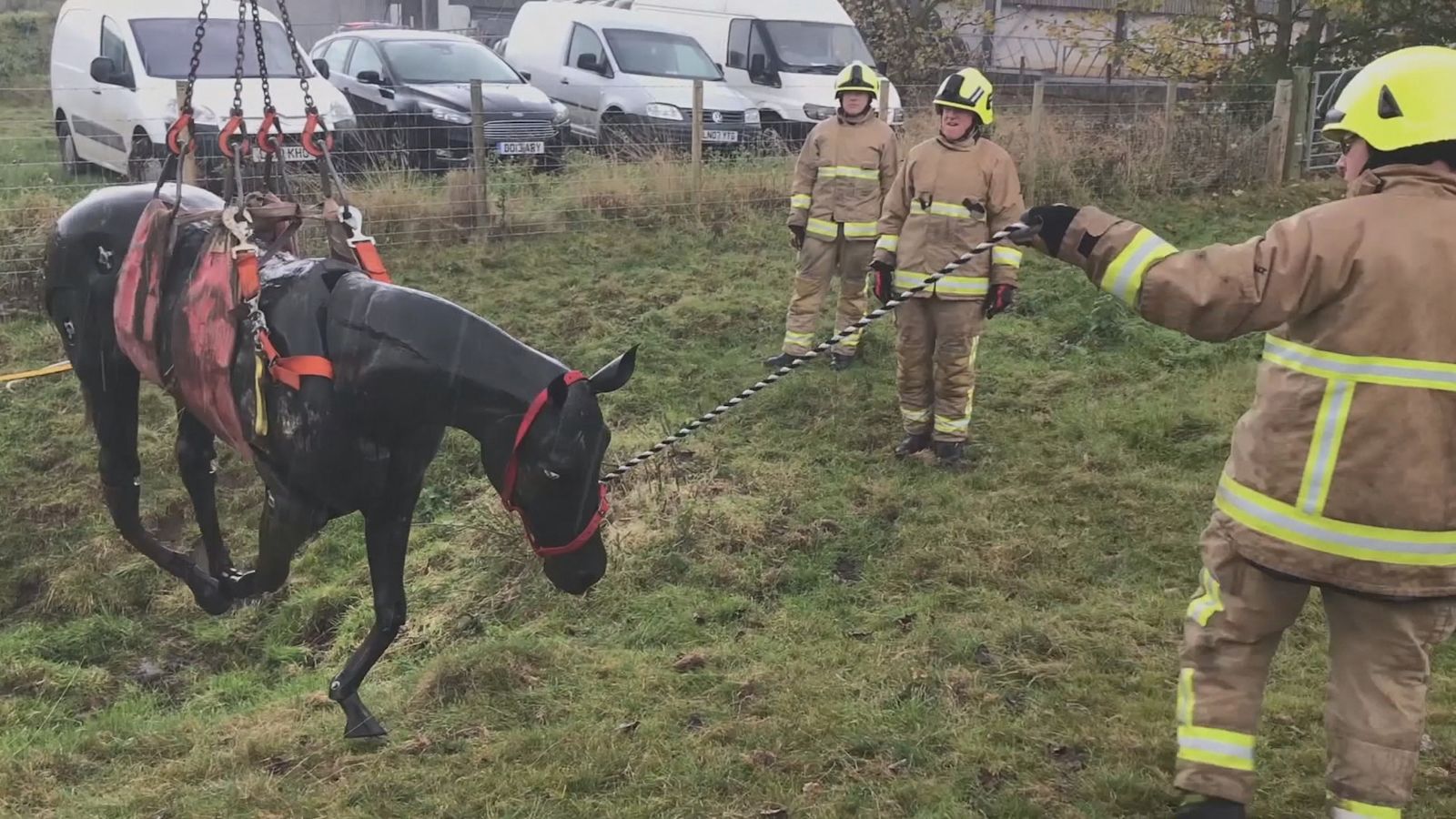 Animal Rescue. How Kent firefighters are helping our four-legged ...