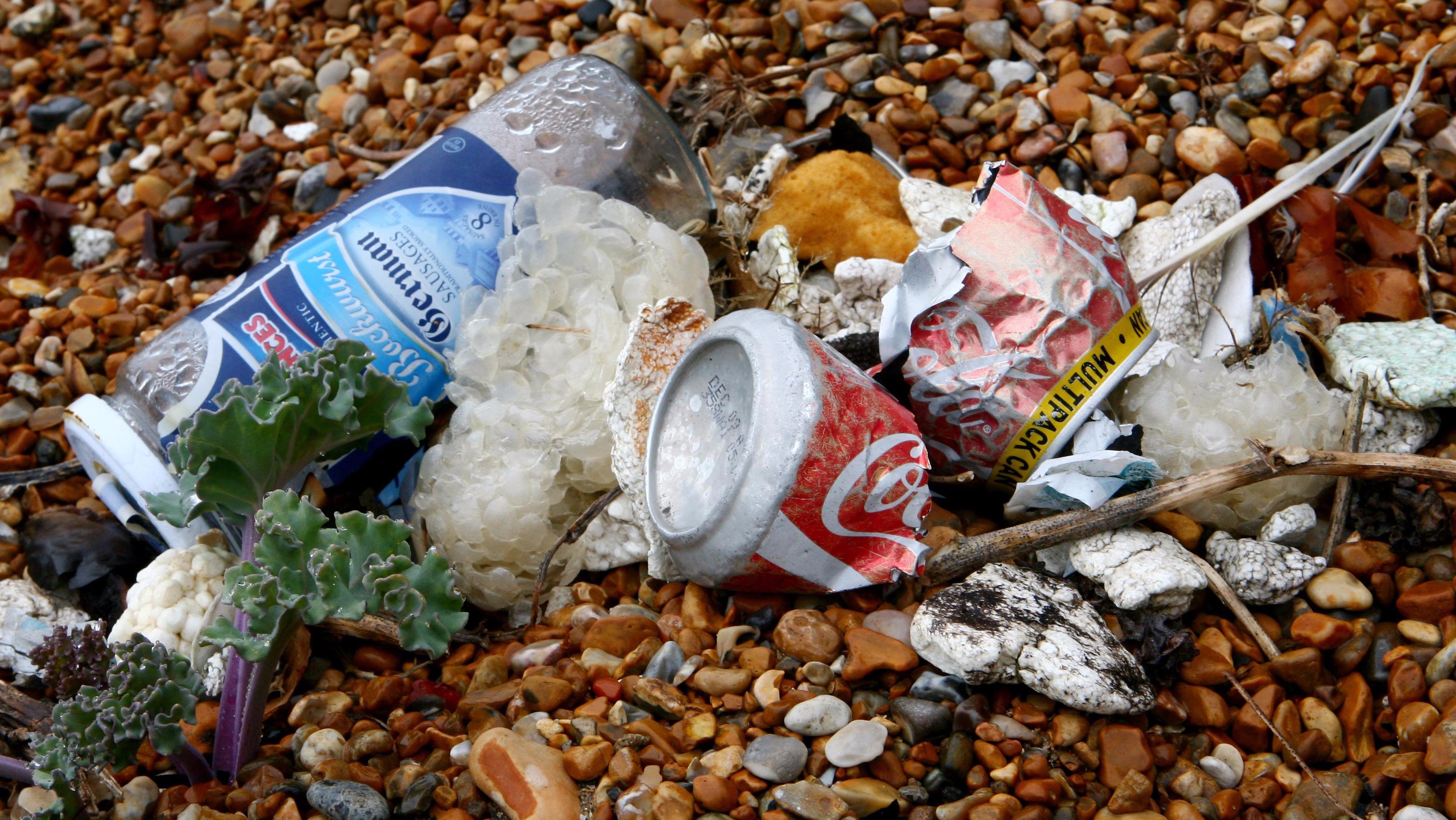 Marine charity Litter on Welsh beaches rises for third year running ITV News Wales