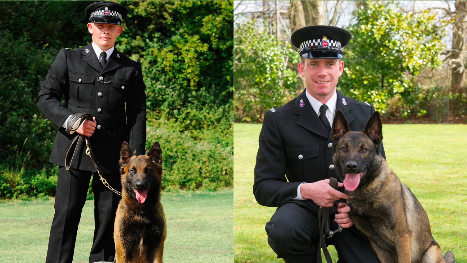 Surrey police dogs scoop top awards at trials | ITV News Meridian