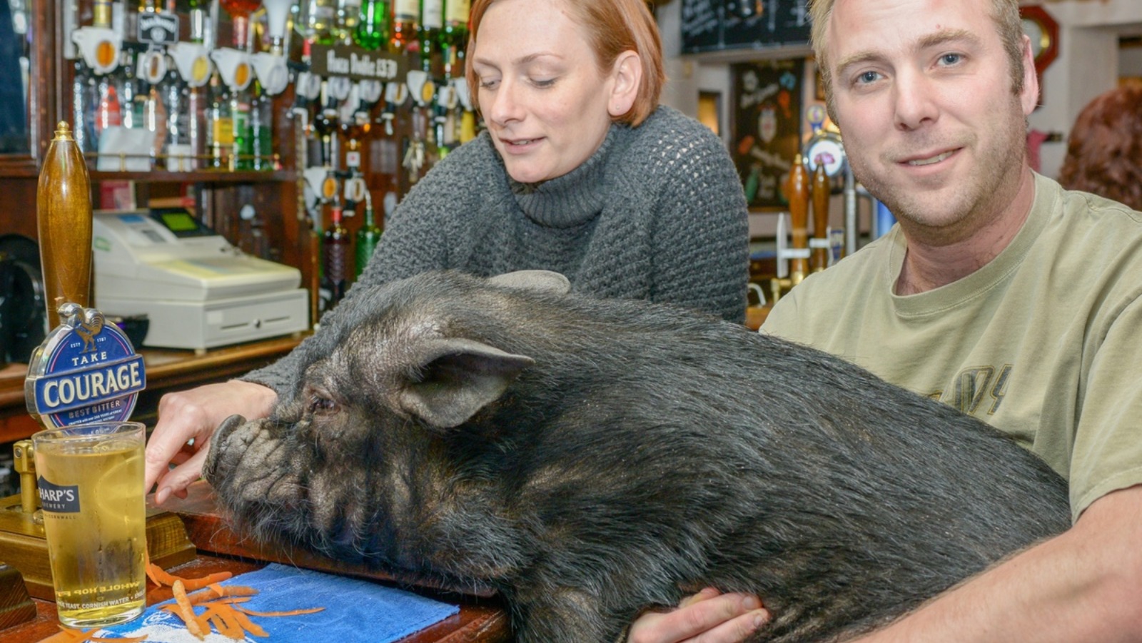 Minesweeping' pig banned from drinking in a pub for headbutting customers |  ITV News
