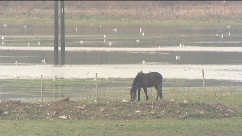 A month's rainfall in just two days for Norfolk | ITV News Anglia