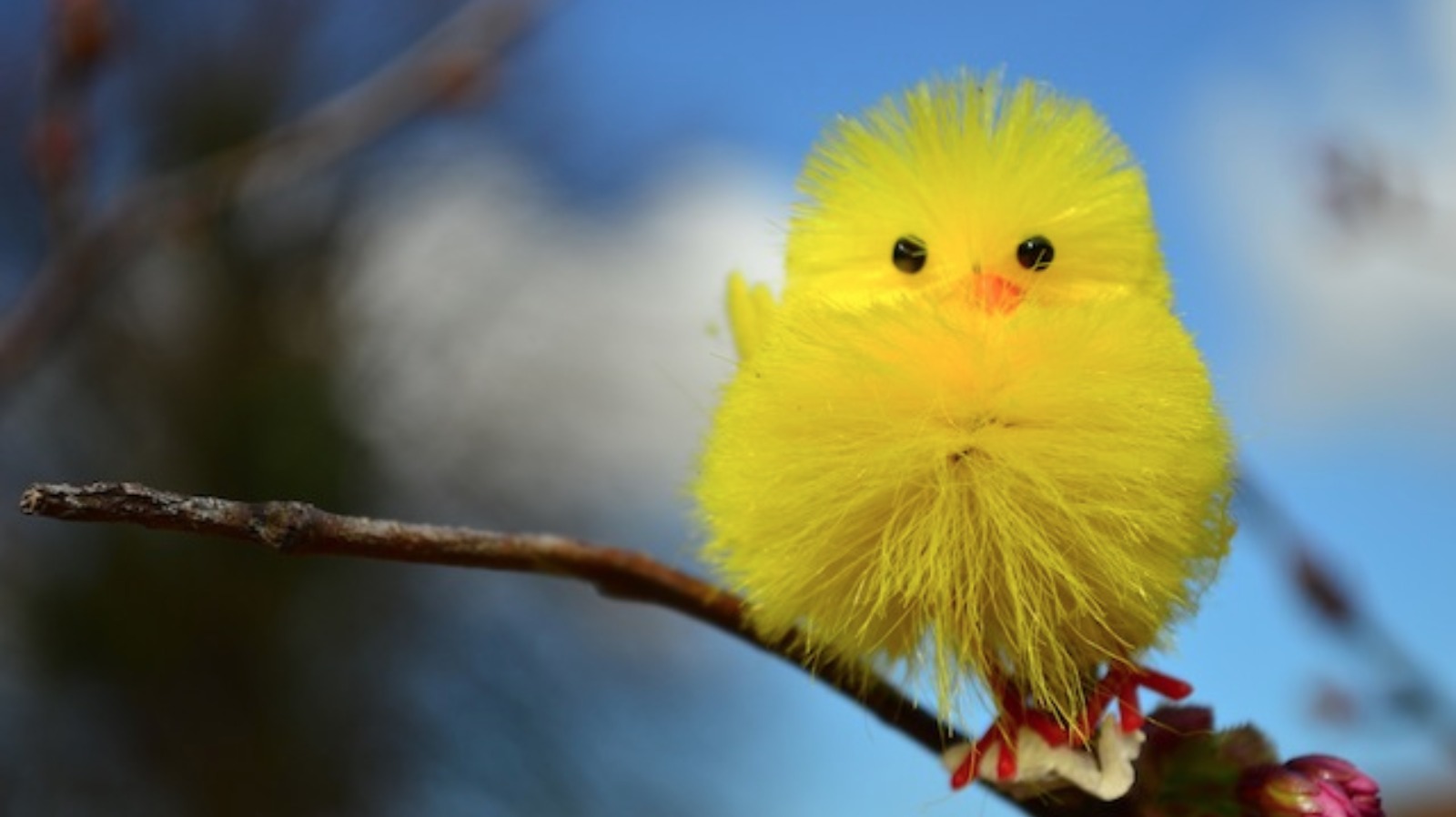 Granada Weather Easter Sunday ITV News Granada