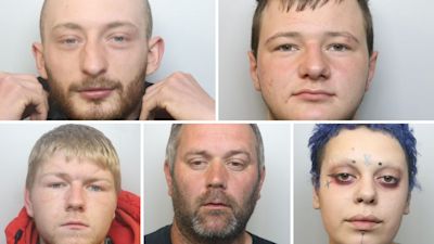 Top L-R: Brandon Lloyd and Kane Adamson. Bottom L-R: Kain Simmonds, Stuard Quinn and Yasmin Schneider.