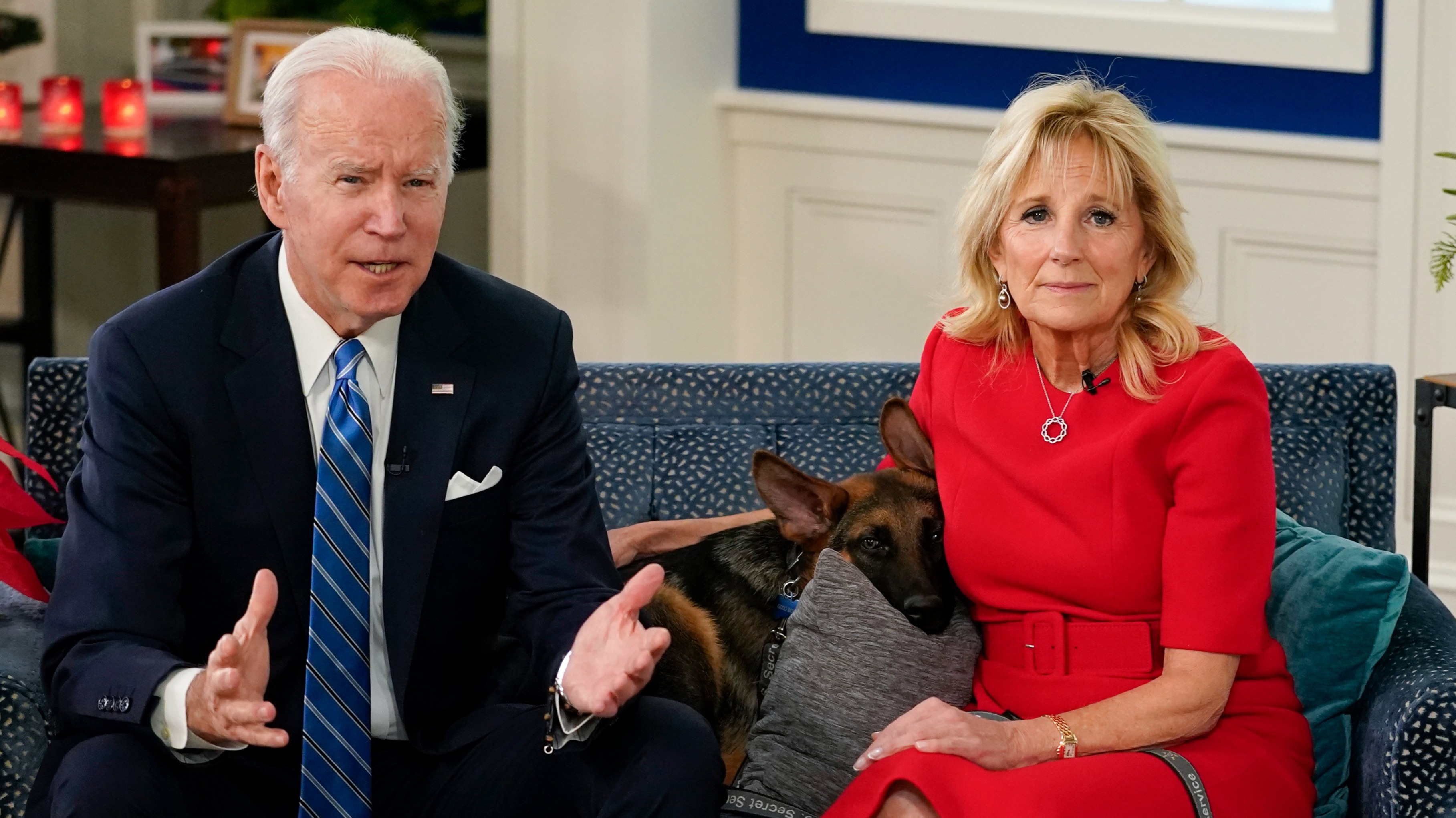 Joe Biden's Dog Moved Out Of The White House After 11 Biting Incidents ...