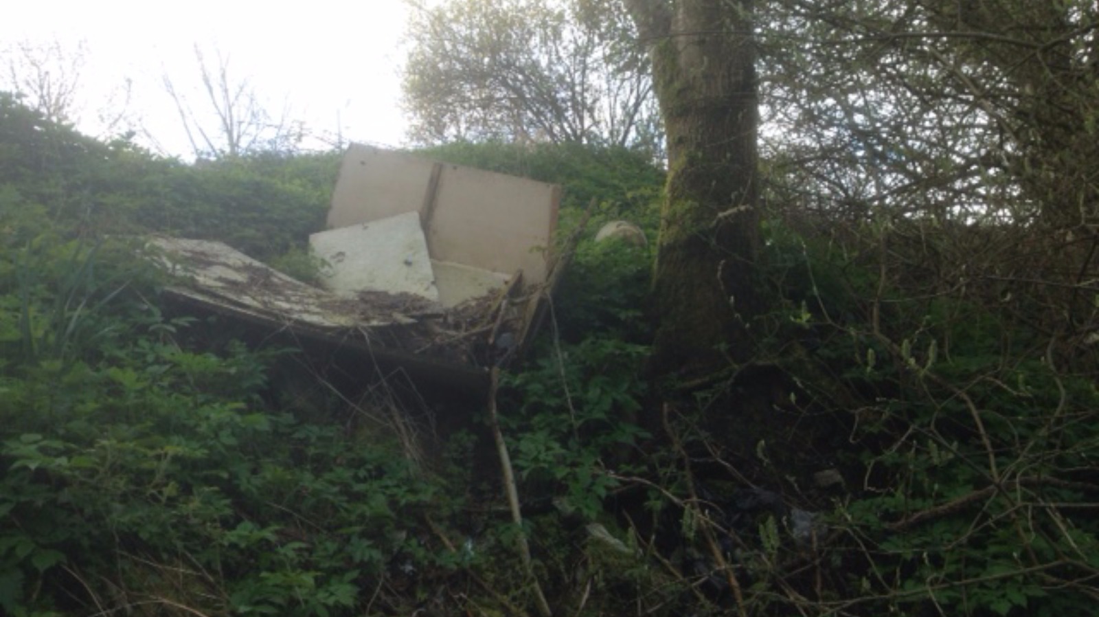 In Pictures Fly Tipping ITV News Border   ImportedImage77229 Header