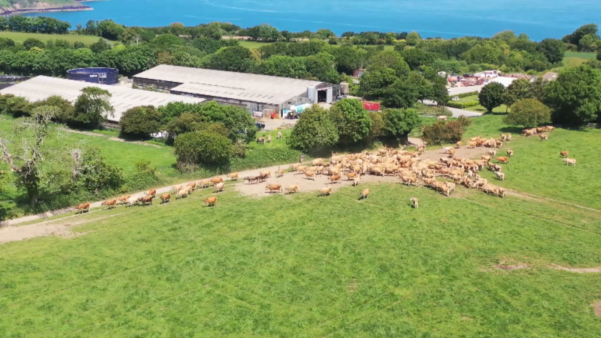 Jersey Dairy first in the world to achieve global sustainability