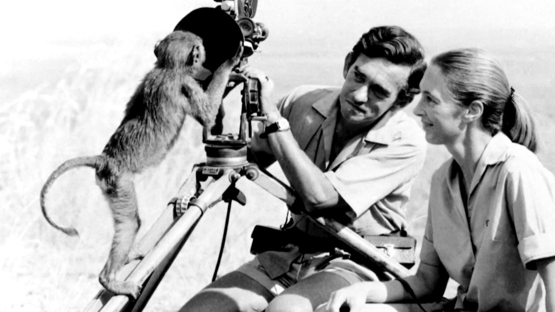 Jane Goodall, chimpanzee expert and leading conservationist, dies