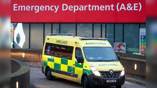 A patient turned up at A&E at the Luton and Dunstable Hospital with dandruff, a meeting was told.
Credit: PA